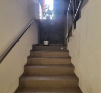 A staircase with a flower and a railing in a 2-room apartment.
