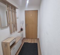 Entrance hallway of a 2-room apartment with a coat rack and flooring with a wooden decor.