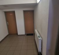 Entrance hall in a 2-room apartment with doors and a radiator, tiles on the floor.