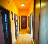 A hallway in a 3-room apartment with a wooden decor floor and wooden doors.