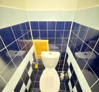 A bathroom in a 3-room apartment with dark blue tiles and white sanitary ware.