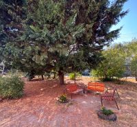 In Bajč, on Bajč street, there is a bench and greenery under the tree.
