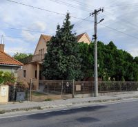 Family houses in Krušovce with front gardens and ornamental trees by the road.