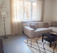 Living room with a sofa, coffee table, rug, and decorative branches in a 2-room apartment.