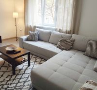 Living room in a 2-room apartment with a sofa, table, and carpet with a geometric pattern.