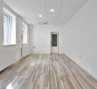 Empty commercial space with wood-patterned flooring and two windows.