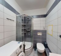 Bathroom with a shower, washing machine, and toilet in a studio apartment.