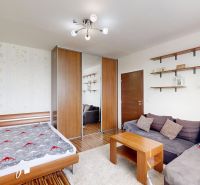 Interior of a 1-bedroom apartment with a sofa, wood-patterned flooring, and cabinets.
