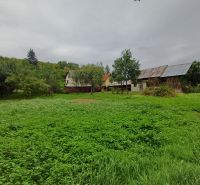 A family house in Drnava surrounded by greenery and trees, with an older building behind it.