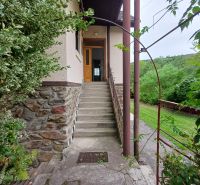 Stone stairs and a garden lead to the entrance of a family house in Drnava.