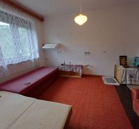 Interior of a family house with a sofa, red carpet, and a large window with a lace curtain.