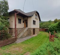 A family house in Drnava with a garden, stone facade, and entrance staircase.