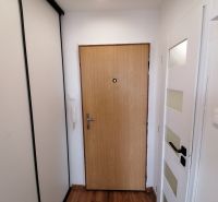 A hallway with two doors and a built-in wardrobe in a one-room apartment.