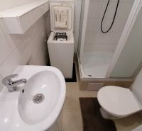Bathroom with a shower, sink, toilet, and washing machine in a studio apartment.