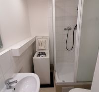 A bathroom in a studio apartment with a sink, shower, and washing machine.