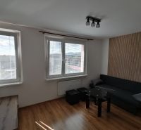 Living room in a studio apartment with wood-patterned flooring and a sofa.