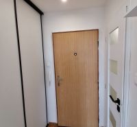 In the 1-room apartment, there is an entrance door with a wooden decor floor.