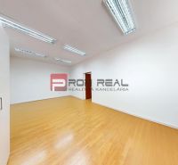White office with wood-patterned flooring and ceiling lights.