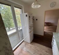 A kitchen with a wooden decor floor in a 3-room apartment, view of the trees.