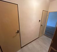 A hallway in a 3-room apartment with a wooden decor floor and two doors.