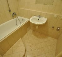 Bathroom with a shower bath and a sink in a 3-room apartment.