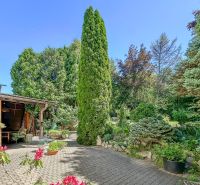 A family house in Sady nad Torysou with a landscaped garden, paved walkway, and lush vegetation.