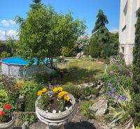 A garden at a family house in Sady nad Torysou with a swimming pool and blooming flowers.