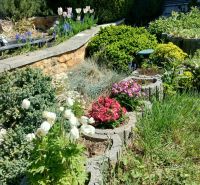 A flower garden at a family house in Sady nad Torysou with colorful plants and stones.