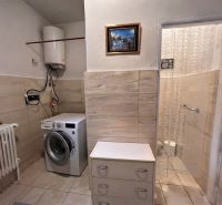 A bathroom in a family house with a washing machine, shower, and radiator.