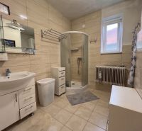 Bathroom with a sink, shower, and radiator in a family house.