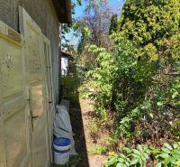 Next to the cottage on Popradská Street in Košice West, there is an overgrown garden.