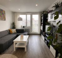 Living room in a three-room apartment with wood-patterned flooring, a gray sofa, greenery.