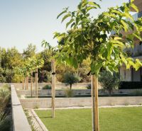 A garden with young trees in a Recreational Apartment in Sevid, surrounded by greenery.