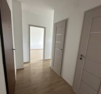 A hallway in a two-room apartment with a wooden decor floor and white walls.