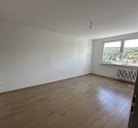 An empty room with a wooden decor floor in a two-room apartment, large window.