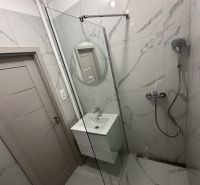 A bathroom with a shower and a sink in a 2-room apartment with a marble effect.
