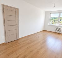 An empty room with a wooden decor floor in a 2-room apartment, light through the window.