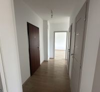 A hallway with white walls and a wooden decor floor in a 2-room apartment.