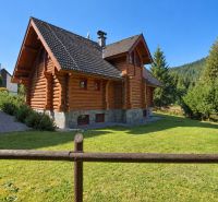 A wooden cabin in the forest near Banská Bystrica with a green garden and coniferous trees.