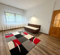 A room in a family house with a wooden decor floor, a carpet, a sofa bed, and curtains.