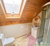 Bathroom with wood-patterned flooring, a shower corner, and a skylight in the cabin.