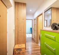 Entrance hallway in a 2-room apartment with a wooden decor floor and a green dresser.