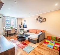 Living room in a 2-room apartment with a wooden decor floor and a colorful carpet.