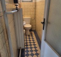 A narrow toilet in a family house with a radiator and patterned floor.
