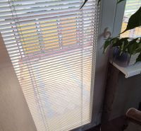 A door with white blinds and a plant, a floor with a colorful pattern in a family house.