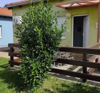A garden with a green bush in front of the house in Boldog.