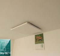 A calendar with a pig on the wall in the cottage, white ceiling panel.
