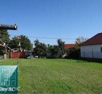 Garden with a lawn on a residential plot on Vrbová Street in Jelka.