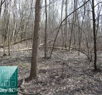 Forest land at the Old Port Gabčíkovo suitable for living.