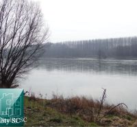 A river with bare trees on the bank on a residential plot in the Old Harbor Gabčíkovo.